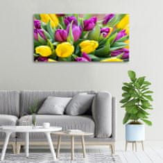 Wallmuralia Foto obraz canvas Barevné tulipány 100x50 cm