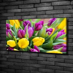 Wallmuralia Foto obraz canvas Barevné tulipány 100x50 cm