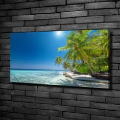 Wallmuralia Foto obraz canvas Maledivy pláž 100x50 cm