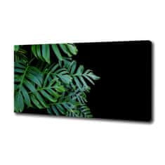 Wallmuralia Foto-obraz canvas do obýváku Monstera 120x60 cm