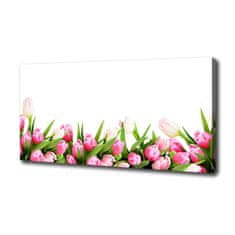 Wallmuralia Foto obraz canvas Růžové tulipány 100x50 cm