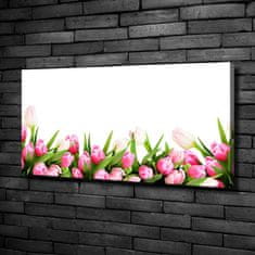 Wallmuralia Foto obraz canvas Růžové tulipány 100x50 cm