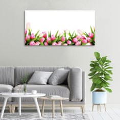 Wallmuralia Foto obraz canvas Růžové tulipány 100x50 cm