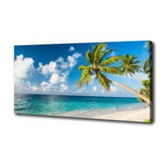 Wallmuralia Foto obraz canvas Maledivy pláž 100x50 cm