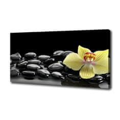 Wallmuralia Foto obraz canvas Orchidej 100x70 cm