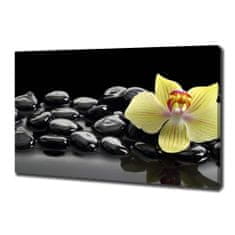 Wallmuralia Foto obraz canvas Orchidej 100x70 cm