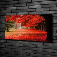 Wallmuralia Foto obraz canvas Stromy podzim 100x50 cm