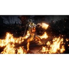 VERVELEY Mortal Kombat 11 Ultimate Switch Game