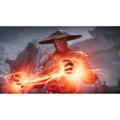 VERVELEY Mortal Kombat 11 Ultimate Switch Game