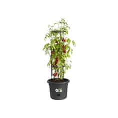 Elho Květináč na rajčata ELHO Green Basics, 33 cm, světle černý