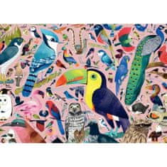 Ravensburger Ravensburger, Puzzle 1000 prvků, Neobyčejní ptáci / Matt Sewell