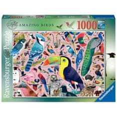 Ravensburger Ravensburger, Puzzle 1000 prvků, Neobyčejní ptáci / Matt Sewell