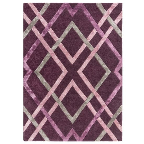 Flair Rugs Kusový koberec Architect Trellis Plum 160x230 cm