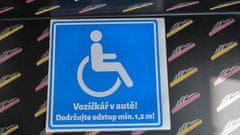 AUTOSAMOLEPKY.cz Samolepka Vozíčkář v autě 15 cm (invalida)