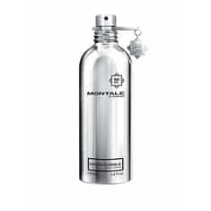 Montale Paris Fantastic Basilic - EDP 100 ml