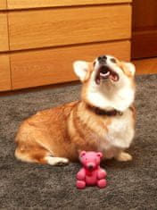 Japan Premium Latexová hračka ve tvaru medvídka se sladkou vůní jahod. Pro malá a střední plemena psů.
