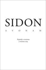 Efraim K. Sidon: Avonam - Kapitoly o sionismu a trauma viny