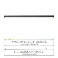 PAUL NEUHAUS PAUL NEUHAUS PURE-LINES, LED stropní svítidlo, CCT, lineární, antracit 2700-5000K 6021-13