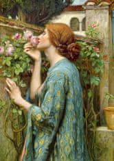 ENJOY  Puzzle John William Waterhouse: Duše růže 1000 dílků