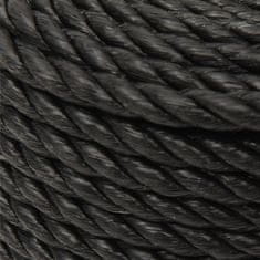 Greatstore Pracovní lano černé 10 mm 100 m polypropylen