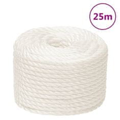 Greatstore Pracovní lano bílá 10 mm 25 m polypropylen