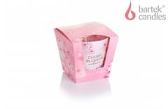 Bartek Svíčka ve skle CHERRY BLOSSOM - sakura pink blush 115g