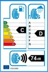 BF Goodrich 295/60R22,5 150/147K TL BFGOODRICH ROUTE CONTROL D