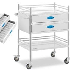 shumee Laboratorní vozík na kosmetické ošetření se 2 policemi a 2 zásuvkami 60 x 41 x 28 cm