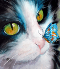Gaira® Malování podle čísel Kočička a motýlek M169YH