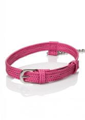 California Ex Novel CalExotics Tickle Me Pink Collar w Leash / obojek s vodítkem