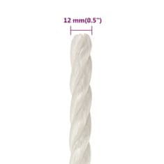 Greatstore Pracovní lano bílá 12 mm 25 m polypropylen