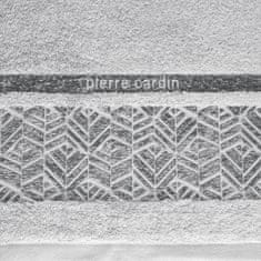 Eurofirany Pierre Cardin Teo Towel 70x140 cm Silver