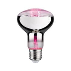 Paulmann PAULMANN LED Grow Green lampa pro rostliny R80 E27 6,5 W 287.33 28733