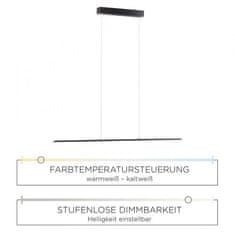 PAUL NEUHAUS PAUL NEUHAUS PURE-LITE LED závěsné svítidlo v kartáčovaném antracitu s funkcí stmívání a nastavitelnou barvou světla 2700-5000K