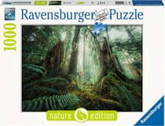 Ravensburger Puzzle V lese 1000 dílků