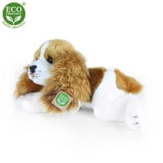 Rappa Plyšový pes kavalír king charles španěl ležící 30 cm ECO-FRIENDLY