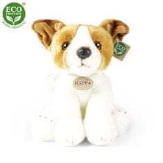 Rappa Plyšový pes jack russell teriér sedící 30 cm ECO-FRIENDLY