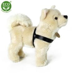 Rappa Plyšový pes akita Inu 29 cm ECO-FRIENDLY