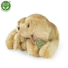 Rappa Plyšový labrador 27 cm ECO-FRIENDLY