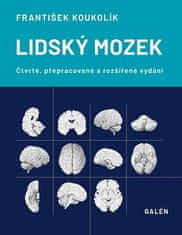 František Koukolík: Lidský mozek