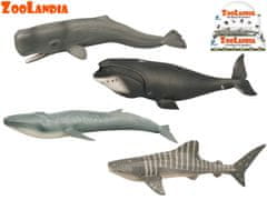 Mikro Trading Zoolandia mořská zvířátka 22,5-28 cm
