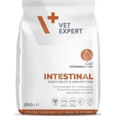 VetExpert VetExpert VD 4T Intestinal Cat suché veterinární krmivo pro kočky 250 g