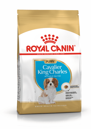 shumee Royal Canin BHN Cavalier King Charles Spaniel Puppy - suché krmivo pro štěňata - 1,5 kg