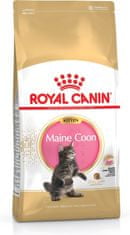 shumee Royal Canin FBN Kitten Maine Coon (4 kg)