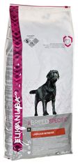 shumee EUKANUBA Breeds Výživa Labradorský retrívr dospělý (12 kg)