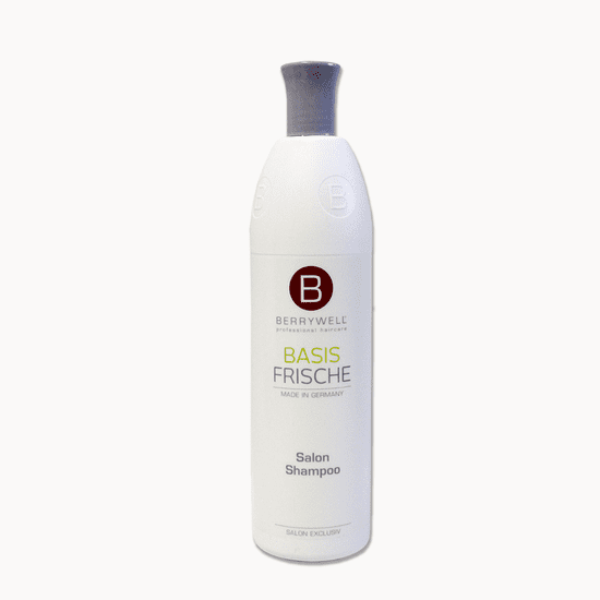 Berrywell Šampon pro každodenní péči Basis Frische Salon Shampoo