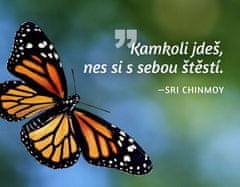 Chinmoy Sri: Magnet na lednici - Kamkoli jdeš, nes si s sebou štěstí.