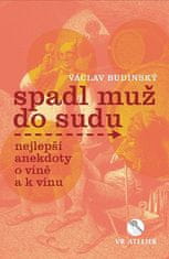 Václav Budinský: Spadl muž do sudu aneb Nejlepší anekdoty o víně a k vínu