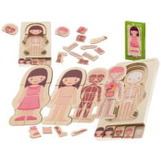 Iso Trade Dřevěné puzzle - lidské tělo | holčička