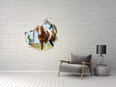 Wallmuralia Díra 3D fototapeta nálepka Strakatý kůň 100x100 cm